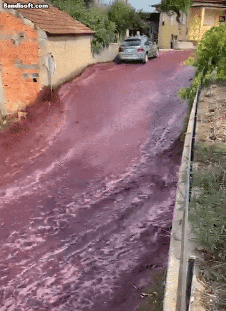 [엑스(옛 트위터)]