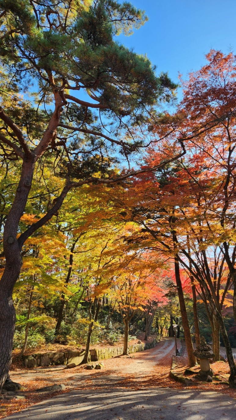 유미사 이미지