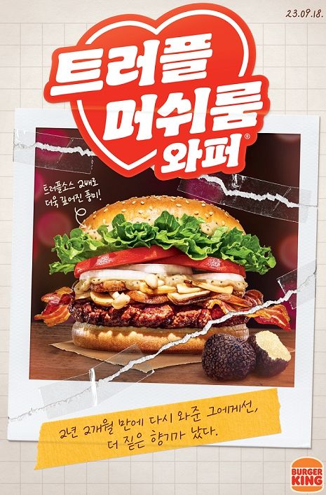 머쉬룸 이미지