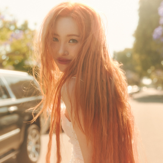 선미네 이미지
