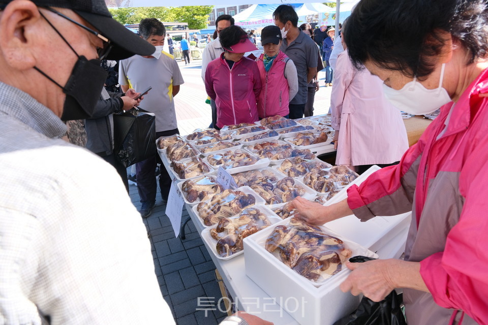 황간농협 상촌지점 이미지