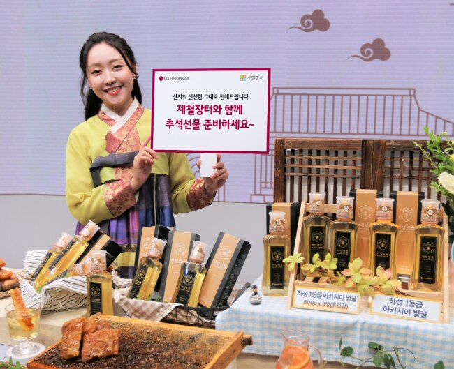 헬로인 이미지