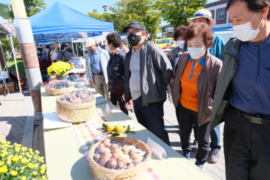 매일유업(주)영동공장 이미지