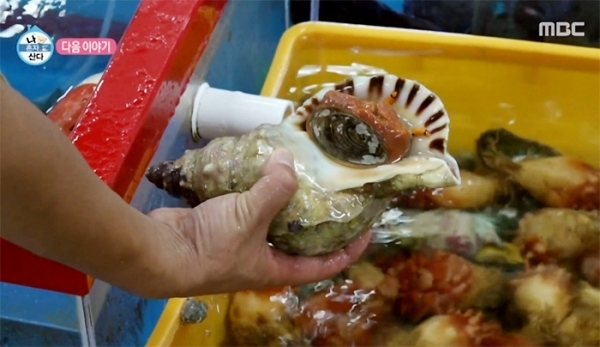 나팔횟집 이미지