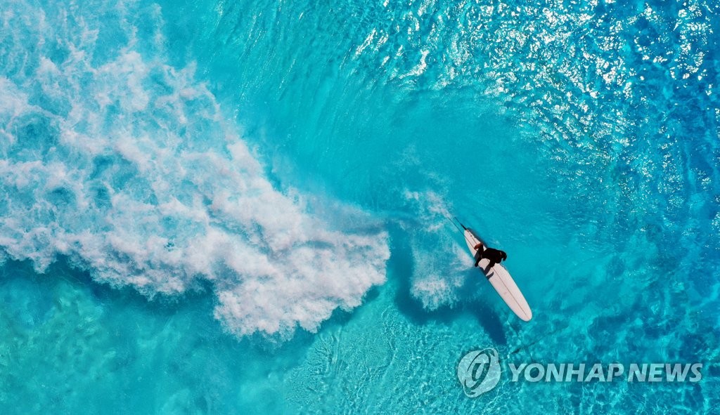 서프리그 이미지