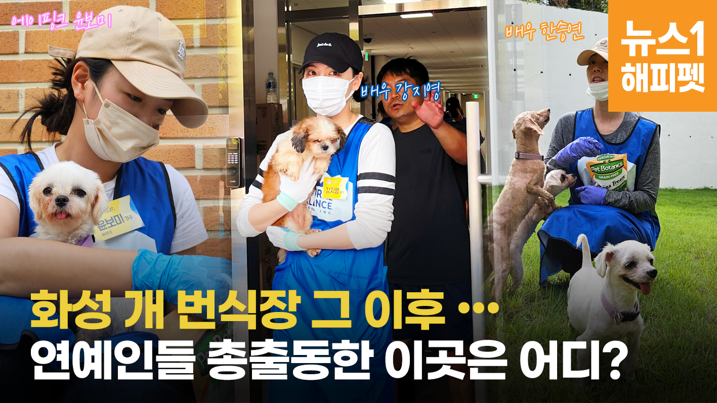 동물병원이 산부인과 됐어요…반려마루에 무슨 일? [최기자의 동행] - kakaoTV 동물병원이 산부인과 됐어요…반려마루에 무슨 일? [최기자의... 
