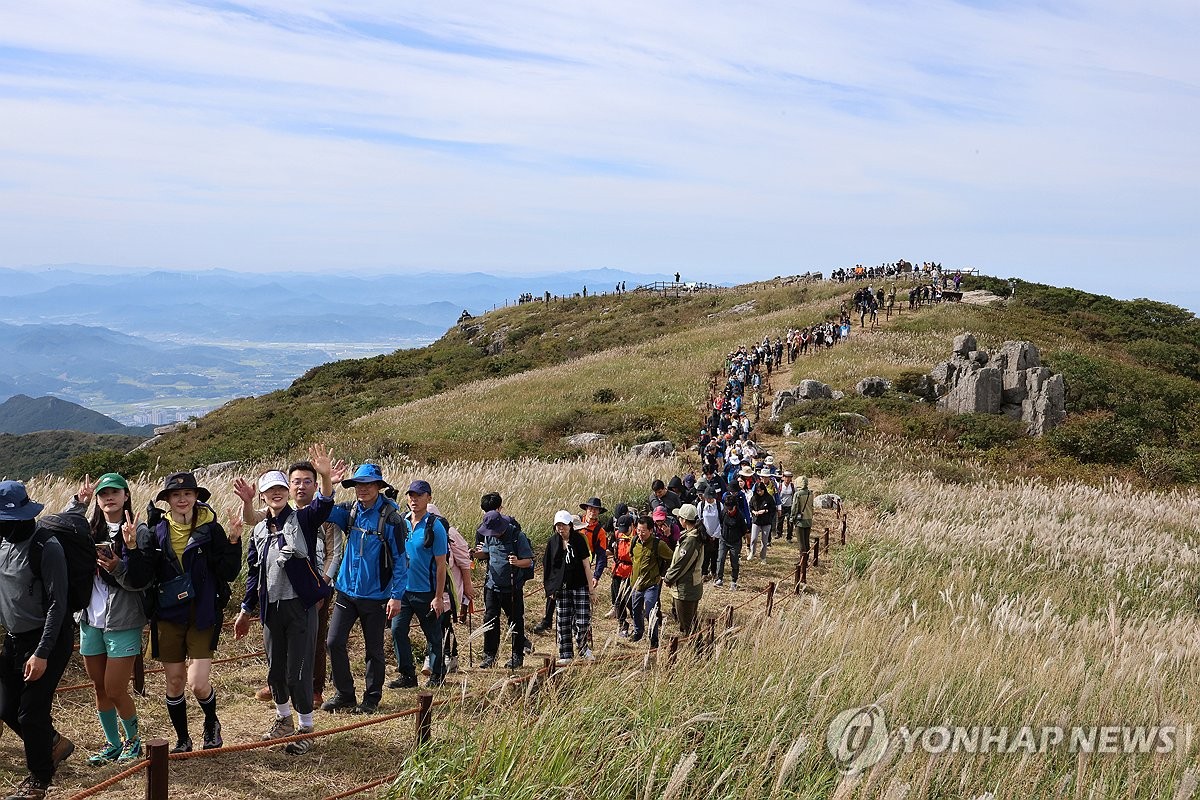 정상 이미지