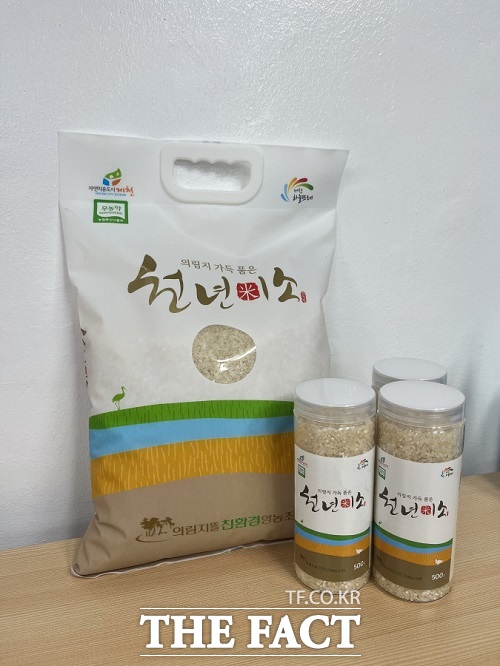 천년의 뜰 이미지