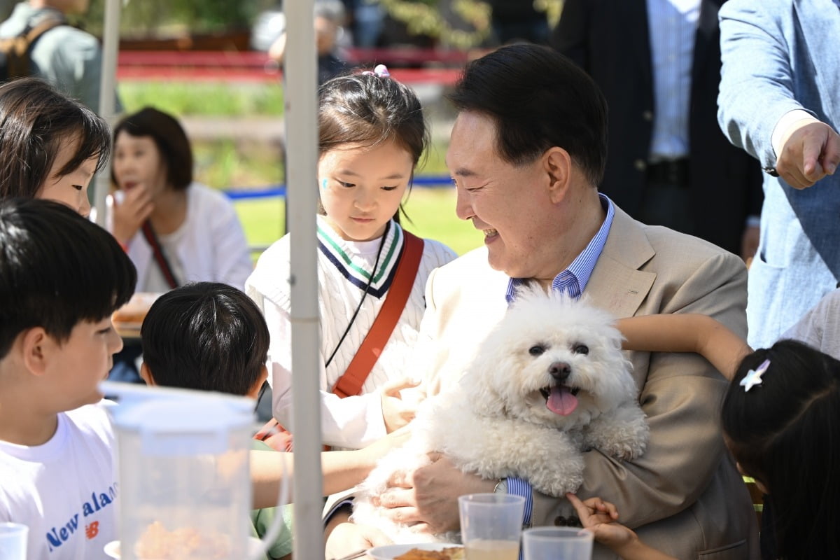 장터빈대떡 이미지