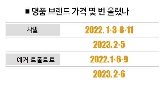 배짱오락 이미지