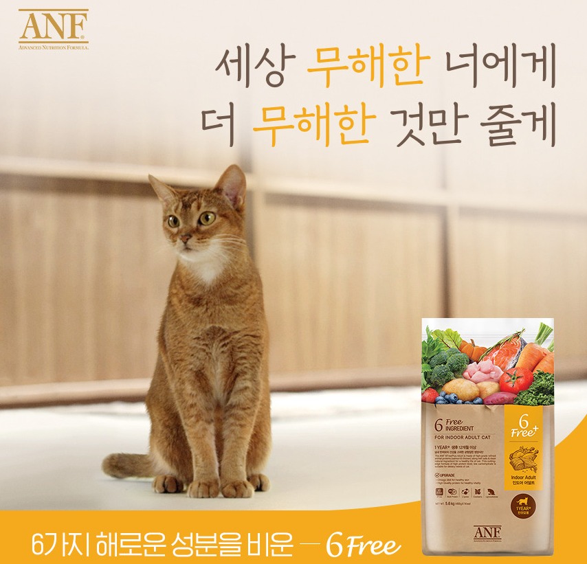 주식회사 나비야 이미지