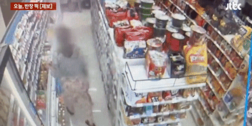 JTBC '사건반장' 영상 갈무리