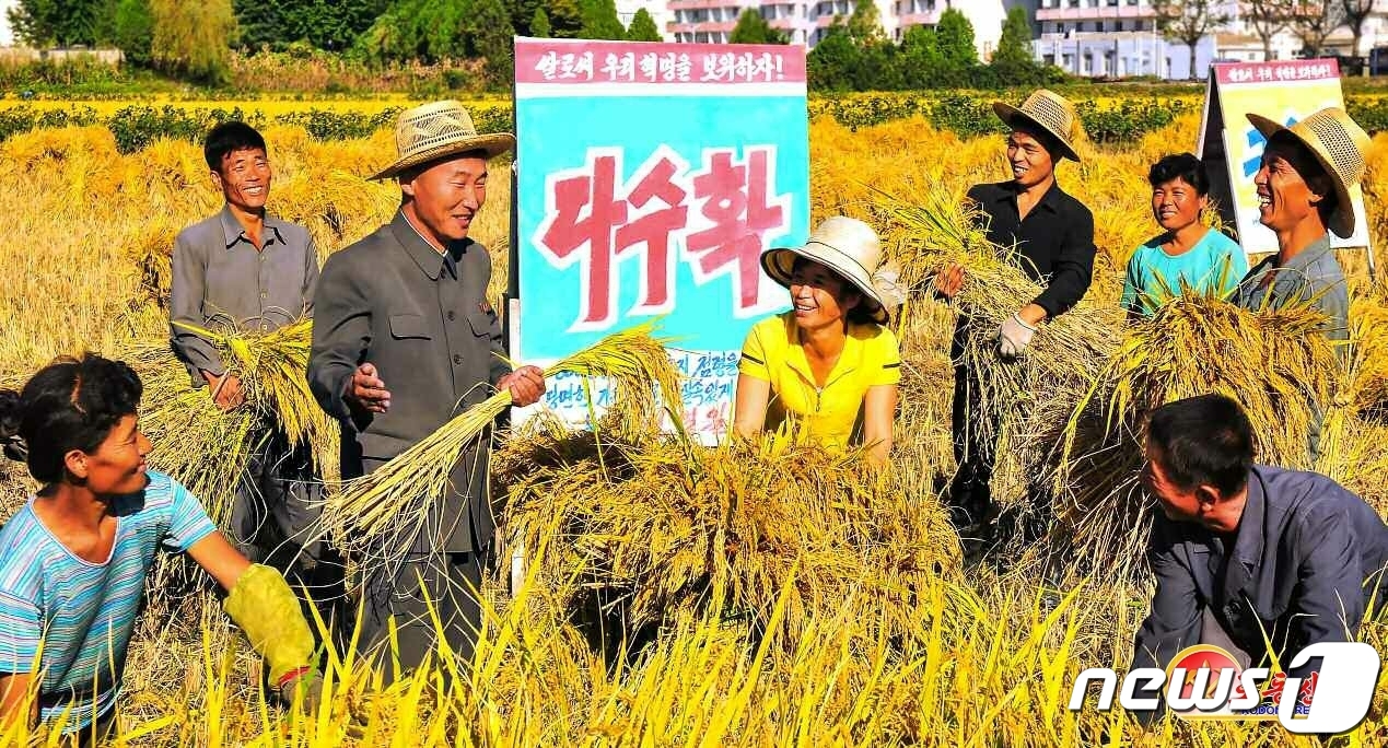 이나라농장 이미지