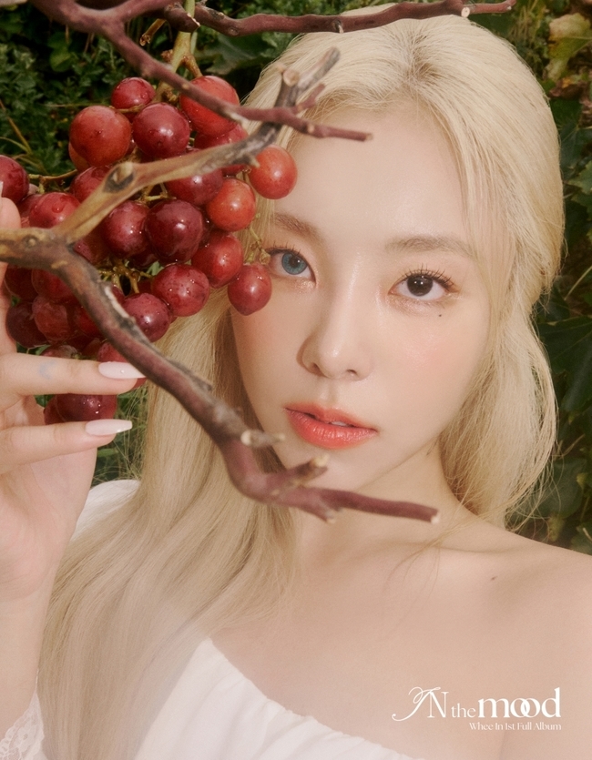 더무드(The Mood) 이미지