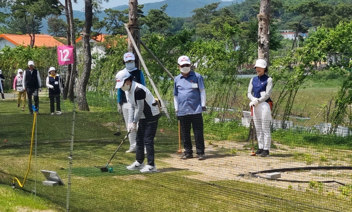 영진 이미지
