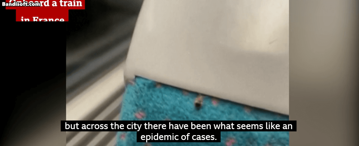 기차 좌석을 기어다니고 있는 빈대. 사람과 동물의 피를 빨아먹는다.[BBC뉴스 유튜브 캡쳐]