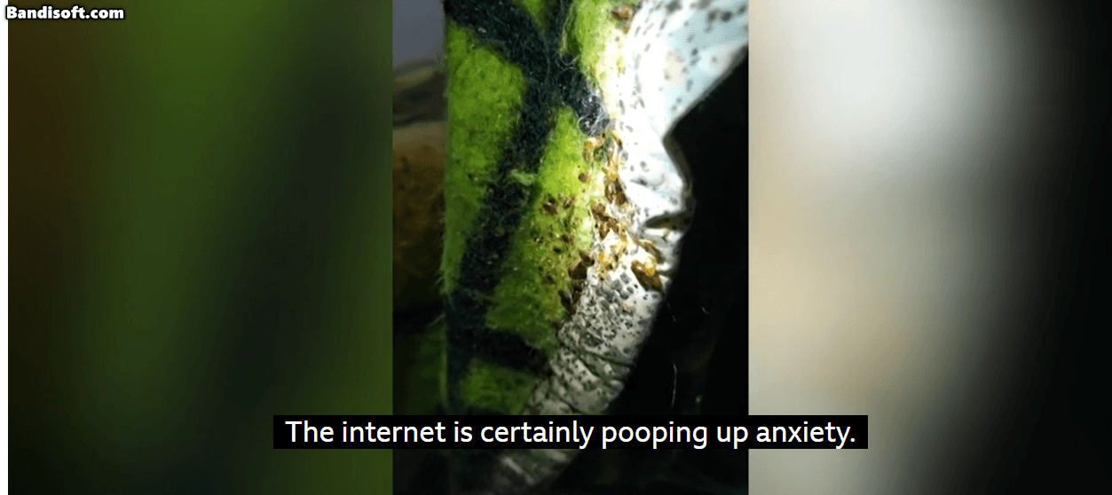 프랑스의 가정집도 빈대의 출몰에서 안전하지 않다. 탐지견을 대동해 빈대 수색에 나선 모습[BBC뉴스 유튜브 캡쳐]