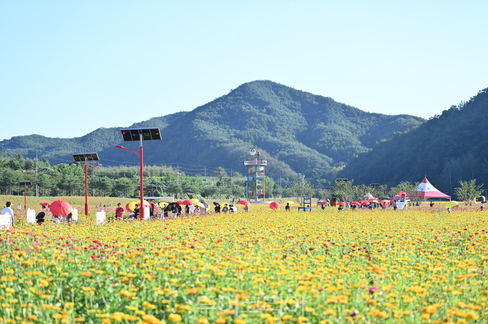 청송 이미지