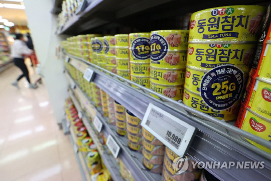 참치연 이미지