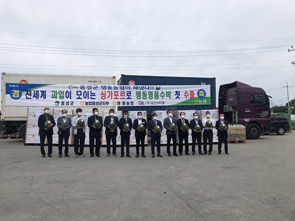 맹동인력 이미지