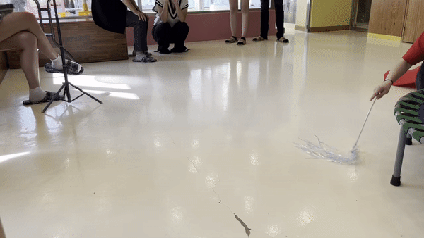 서울 마포구의 한 야생동물 카페에서 직원이 고양이용 장난감 낚시대를 이용해 라쿤을 유인하고 있다. 주소현 기자