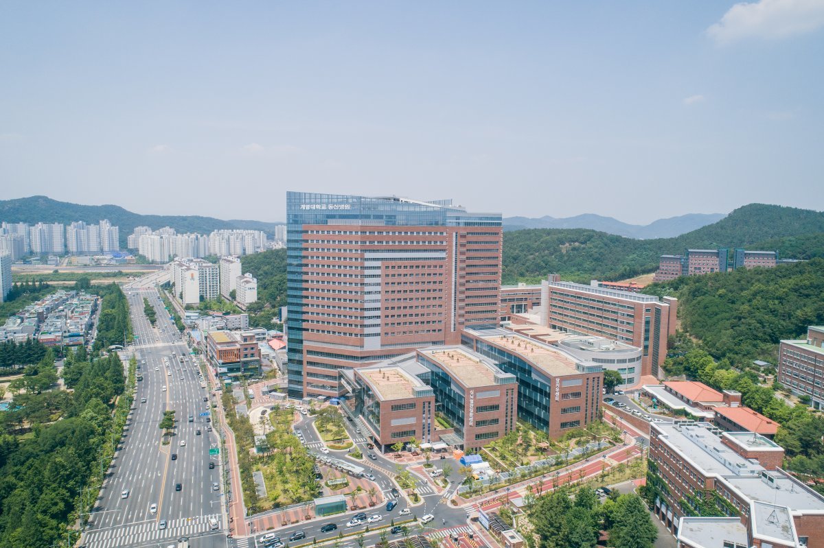 동산 이미지
