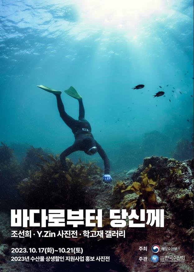 와이진 이미지
