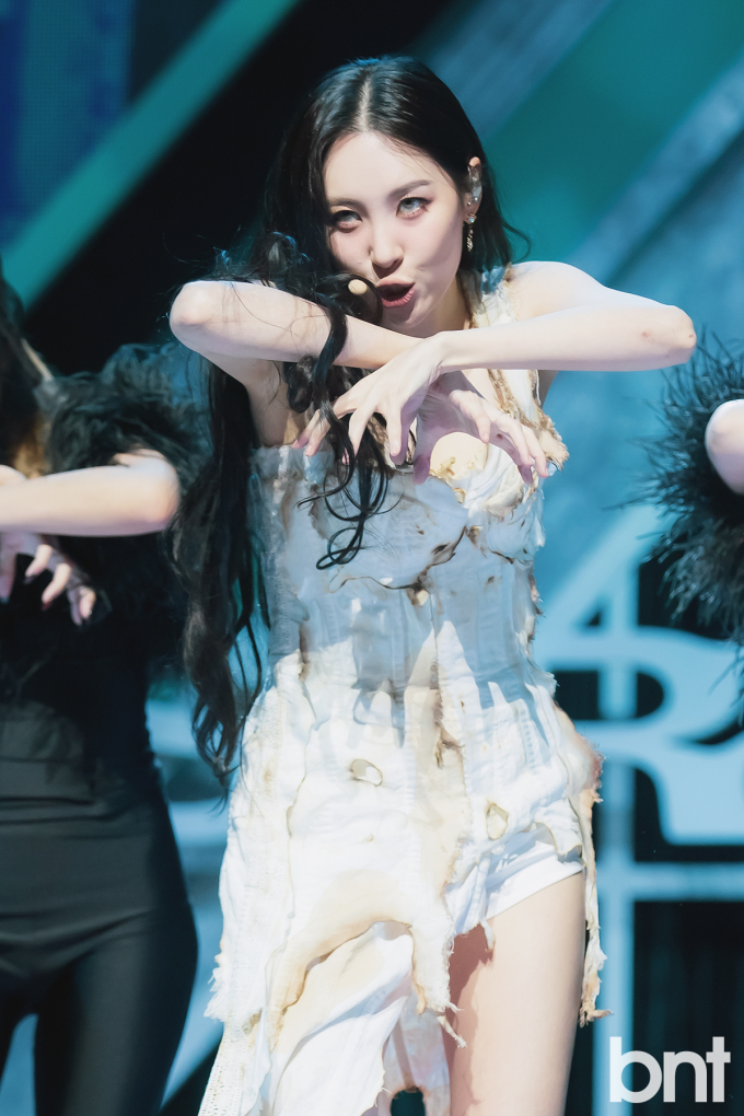 스타일미야 이미지