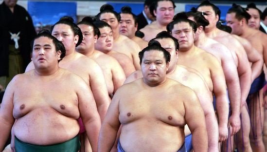 스모 이미지