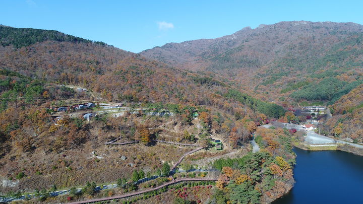 보성 이미지