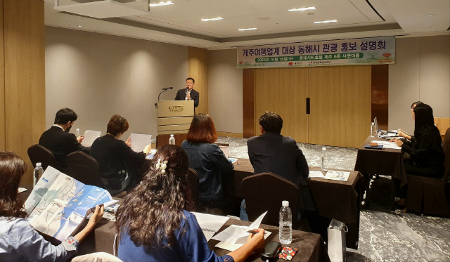 대진관광여행사 이미지