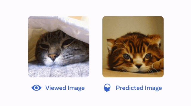 실제 사진(왼족)과 메타의 두뇌 분석 AI를 통해 구현한 이미지(이미지=구글)