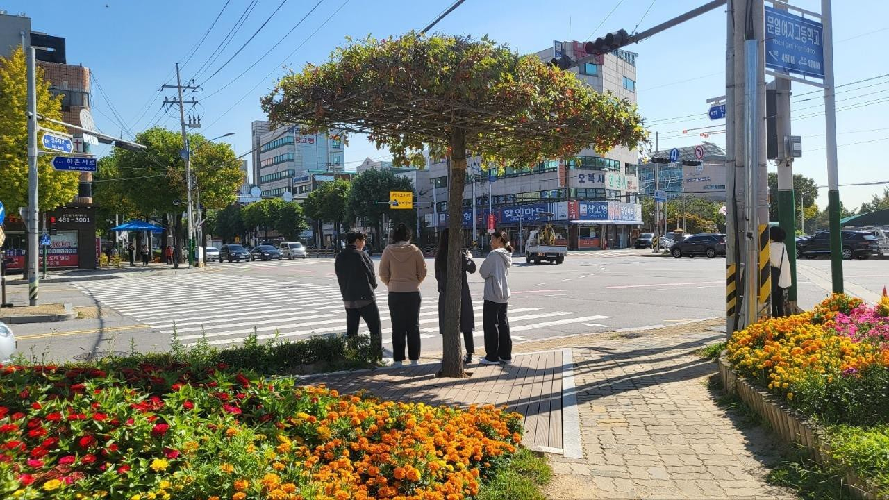 그늘 이미지