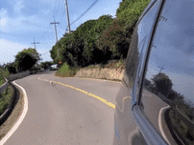 유튜브 채널 '뽀끼와 뽀순이'