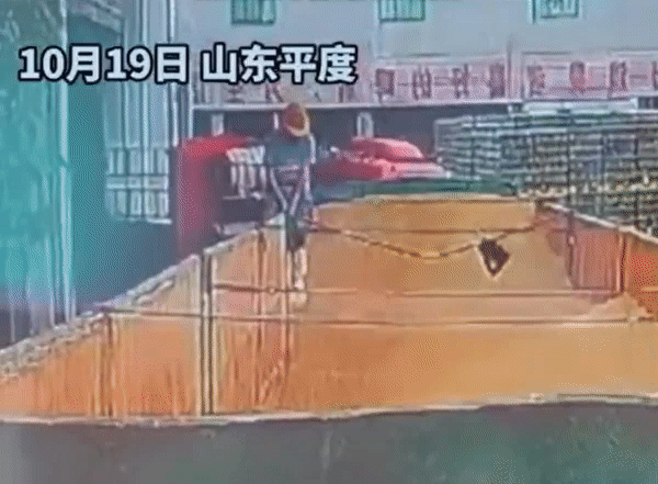 중국 산둥성 핑두시 칭다오 맥주 3공장에서 한 남성이 맥주 원료인 맥아 보관 장소에 들어가 소변을 보는 모습. 〈영상=웨이보〉