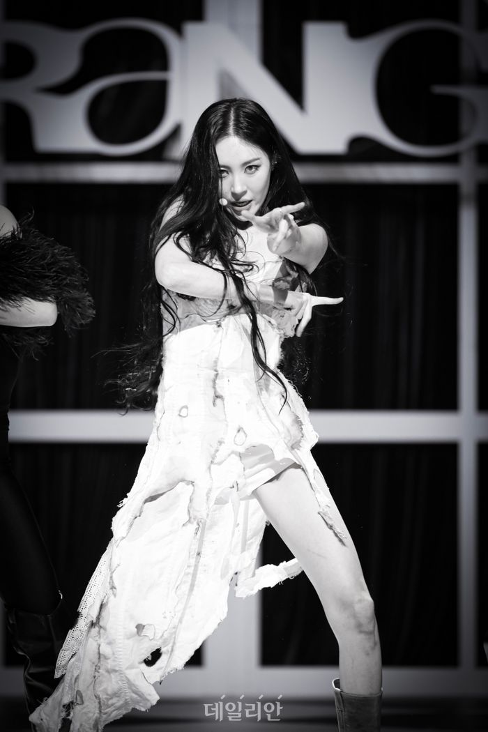 선미사진관 이미지