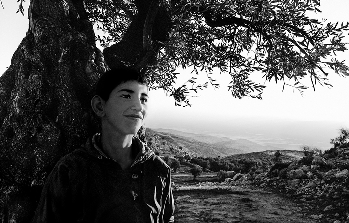 천과나무 이미지