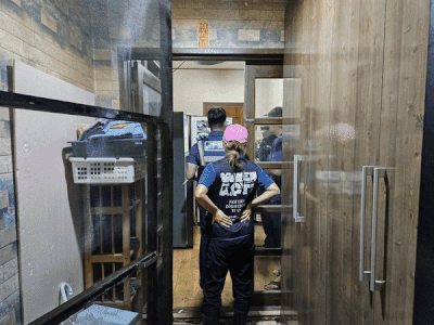 현장에서 다수의 동물 학대 증거가 발견됐다. 냉동고에서 불법 제왕절개를 당한 것으로 추정되는 모견과 어린 개체 100여구가 발견됐다. 수의사 외에 취급이 금지된 근육 이완제(썩시팜), 발정 유도제도 있었다. 동물단체 위액트 제공