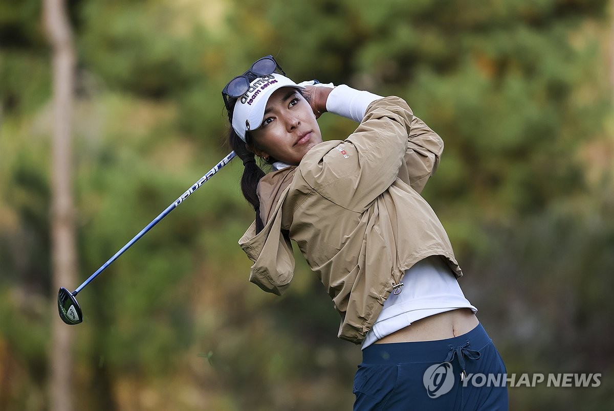 앨리슨 이미지