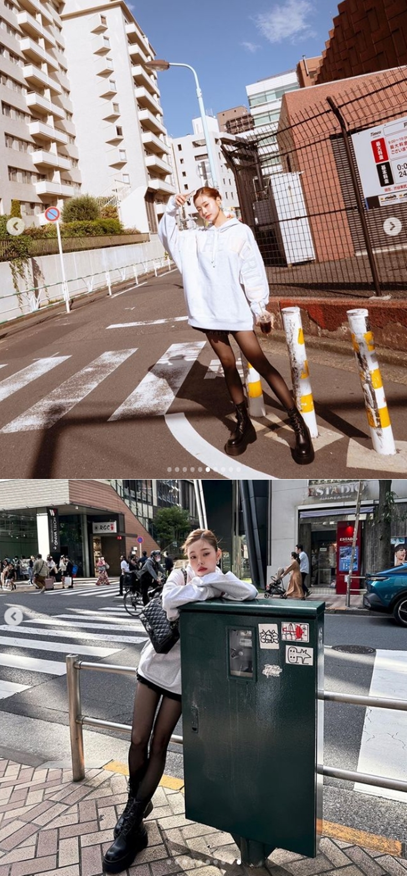 프리지아 이미지