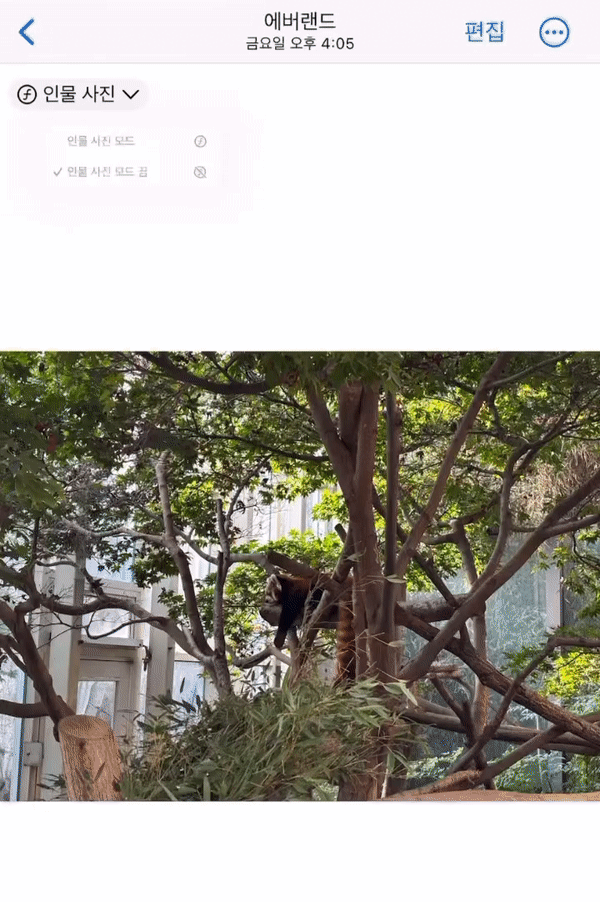 아이폰15는 인물 사진이 개선돼, 편집을 통해 인물 사진 설정과 초점 편집이 가능하다./사진=백유진 기자 byj@