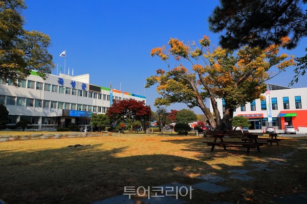그린우드 이미지