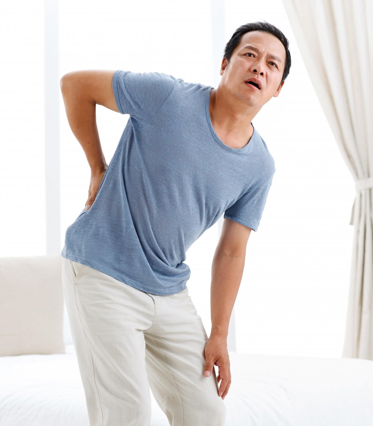 신경인 이미지