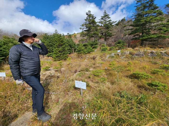 지리산큰나무 이미지