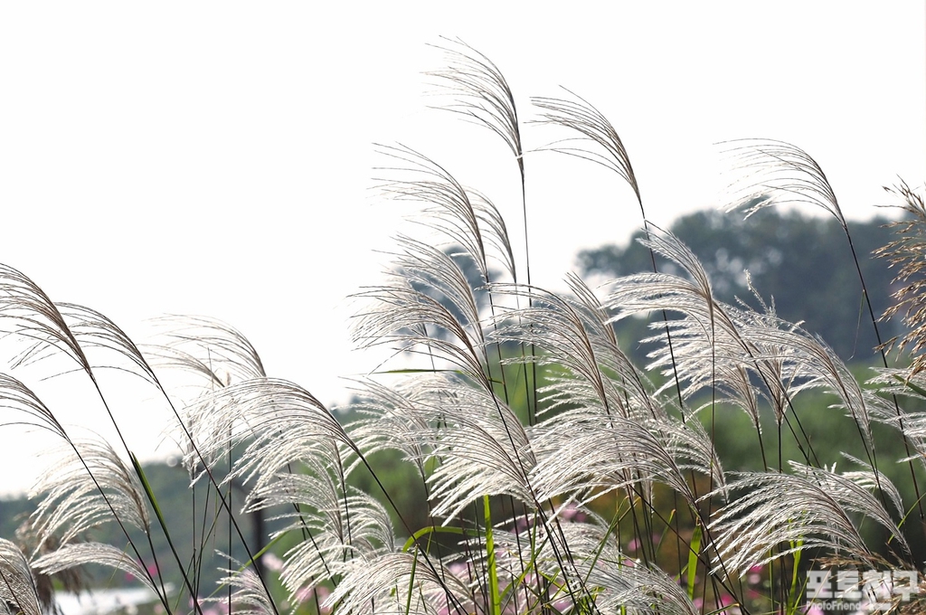 화랑센타 이미지