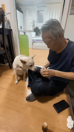 간식은 이리 잘 먹는다지요. 앉아, 손, 집에 들어가 등 훈련을 다 잘 마쳤다./사진=남형도 기자