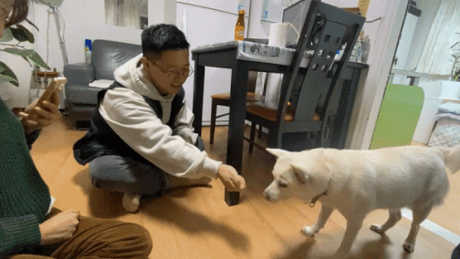 행운이와 처음 만난 날, 친해지기 위해 간식으로 꼬시는 이규상 트레이너. 잘 먹으면서도 언제든 뒤돌아서서 갈 수 있게 경계 태세였다./사진=남형도 기자