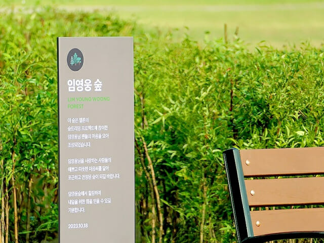 트리밍 이미지