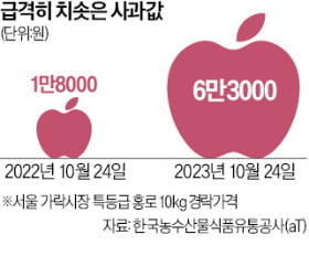 여기가그사과 이미지