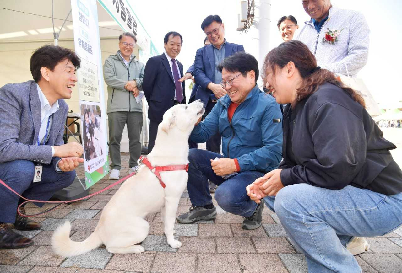 빛고을 이미지